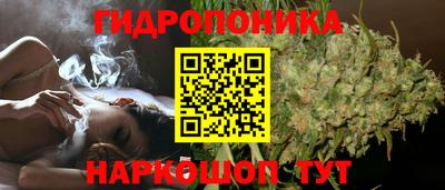 прущие крисы Сланцы