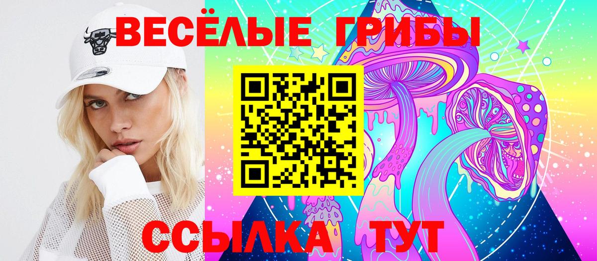 Галлюциногенные грибы прущие грибы  Псилоцибиновые грибы мицелий  Новочебоксарск  Вход с VPN 